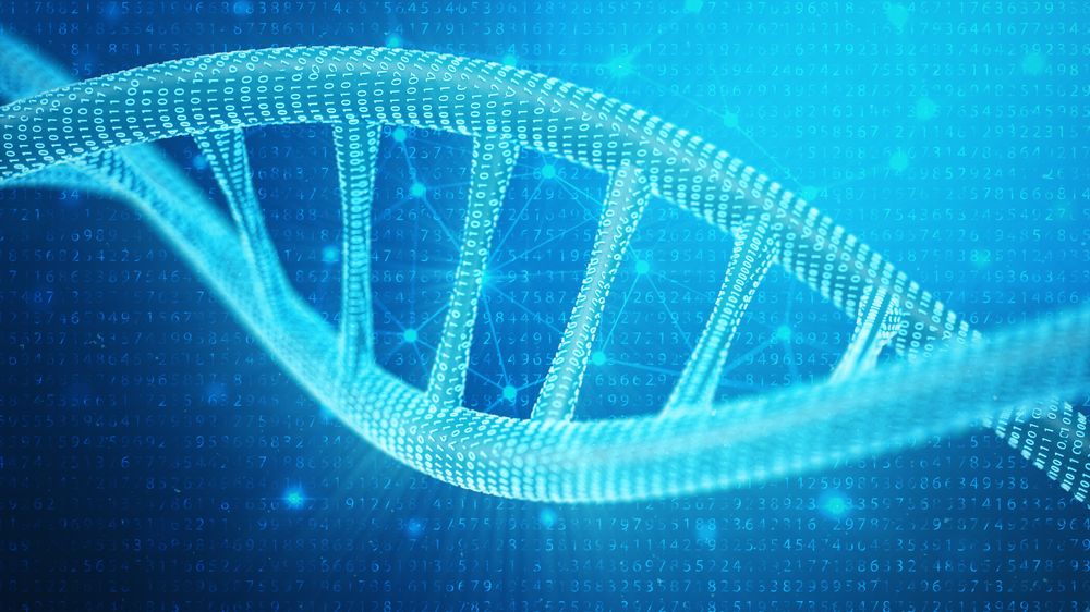 Vědci oznámili, že poprvé rozluštili kompletní lidský genom